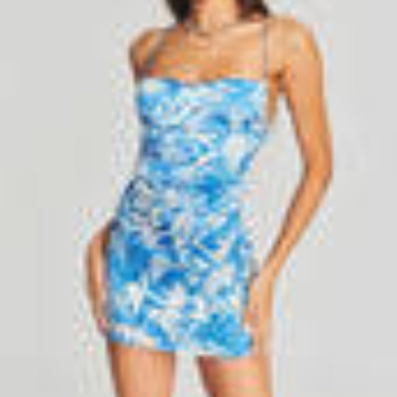 NWT: SER.O.YA IGGY SILK DRESS:  Size Small - Picture 7 of 11
